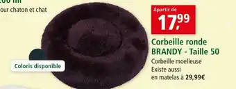 Corbeille ronde brandy