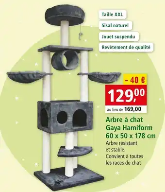 Maxi Zoo Hamiform arbre à chat gaya offre