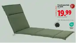 Lidl Coussin pour bain de soleil offre