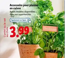 Lidl Accessoire pour plantes en cuivre offre