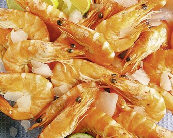 Casino Supermarchés Crevettes cuites offre