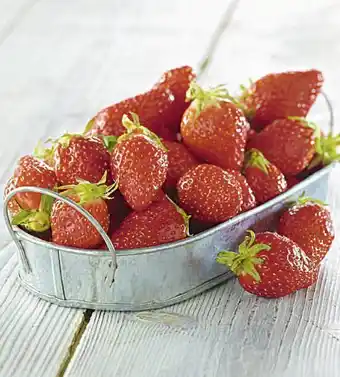 Casino Supermarchés Fraise Mariguette offre