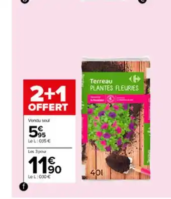 Carrefour Market Terreau Plantes Fleuries offre