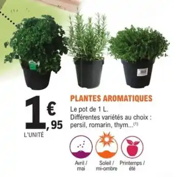 E.Leclerc Jardi Plantes aromatiques offre