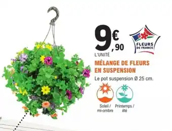 E.Leclerc Jardi Mélange de fleurs en suspension offre