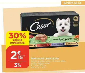 Repas Pour Chien César