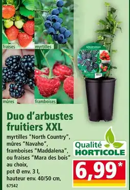 Norma Duo d'arbustes fruitiers XXL offre