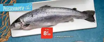 Bi1 Saumon Atlantique offre