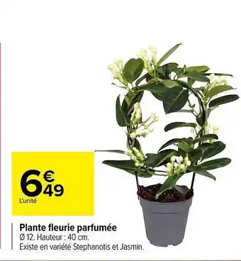 Carrefour Plante Fleurie Parfumée offre