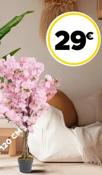 Gifi Cerisier japonais offre