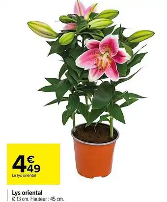 Carrefour Lys Oriental offre