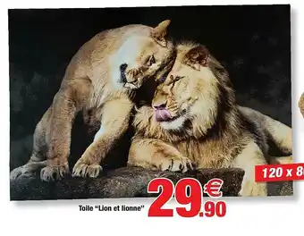 Bazarland Toile offre