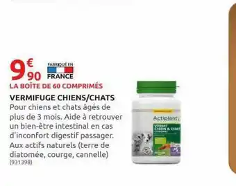 Rural Master Vermifuge Chiens - Chats offre