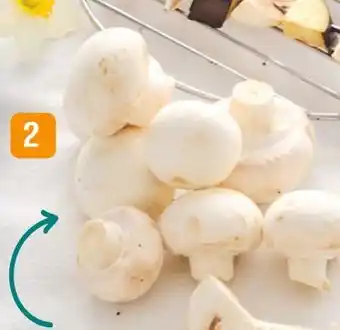 Match Champignon blanc offre