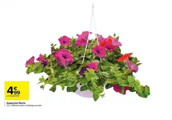 Carrefour Suspension Fleurie offre