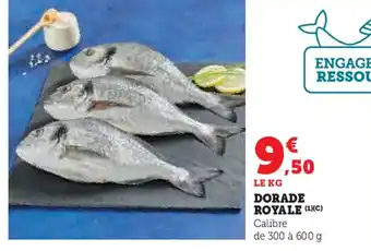 Hyper U Dorade royale offre