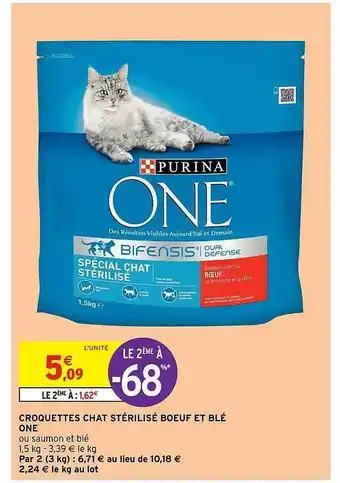 Intermarché Croquettes Chat Stérilisé Boeuf Et Blé One offre