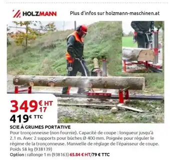 Rural Master Scie à grumes portative offre