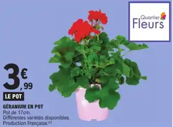 E.Leclerc Géranium en pot offre