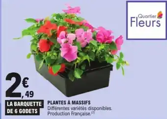 E.Leclerc Plantes à massifs offre