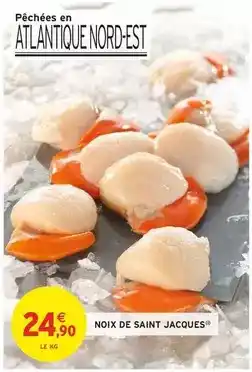 Netto Netto - noix de cajou grillées & salées offre