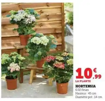 Super U Hortensia offre