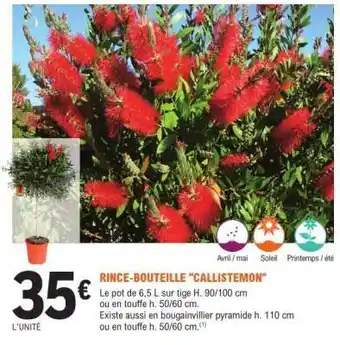 E.Leclerc RINCE-BOUTEILLE 'CALLISTEMON' offre