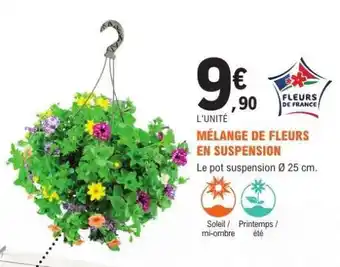 E.Leclerc MÉLANGE DE FLEURS EN SUSPENSION offre