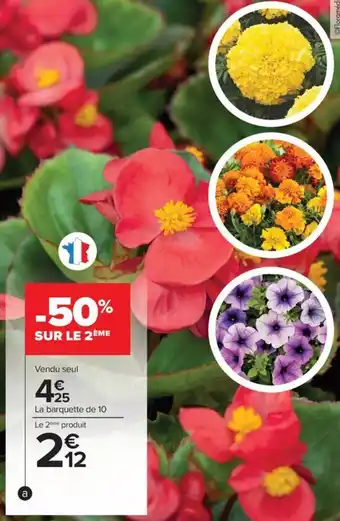 Carrefour Plantes à massif offre