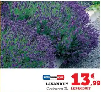 Hyper U Lavande offre