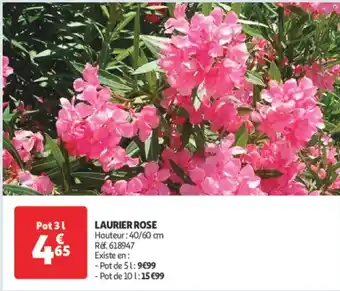 Auchan Laurier Rose offre