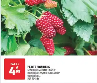Auchan Petits Fruitiers offre