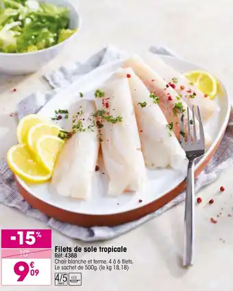 Croque Gel Filets de sole tropicale offre