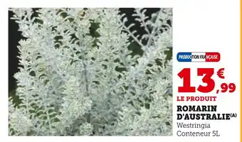 Super U Romarin d'australie offre