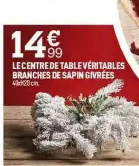 Centrakor Le Centre De Table Véritables Branches De Sapin Givrées offre