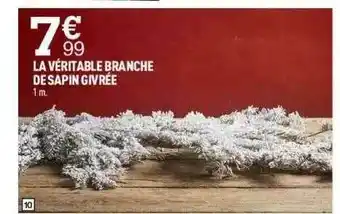 Centrakor La Véritable Branche De Sapin Givrée offre