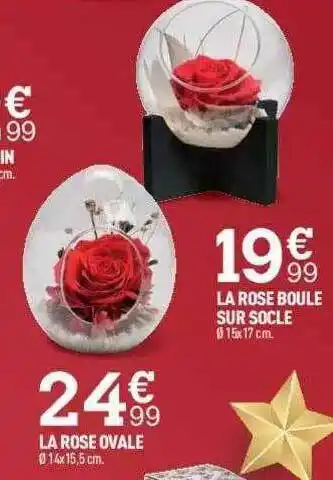 Centrakor La Rose Boule Sur Socle, La Rose Ovale offre