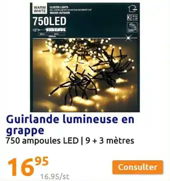 Action Guirlande lumineuse en grappe offre