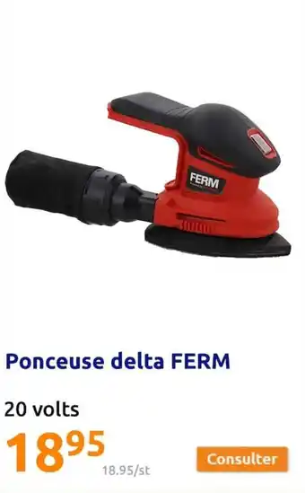 Action Ponceuse delta FERM offre