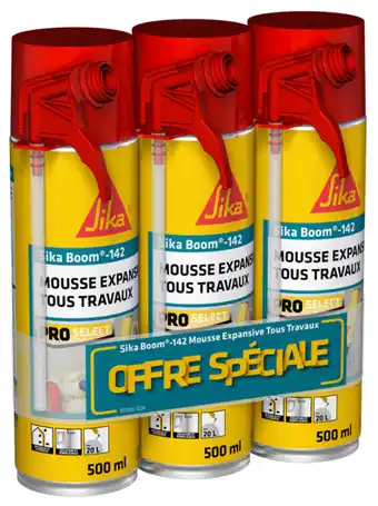 Brico Dépôt Lot de 3 mousses pu expansives sikaboom offre
