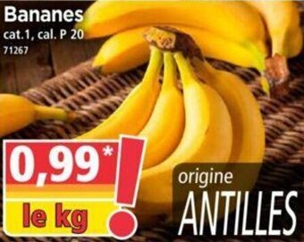 Norma Bananes offre