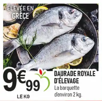 marché frais Géant Daurade royale d'élevage offre