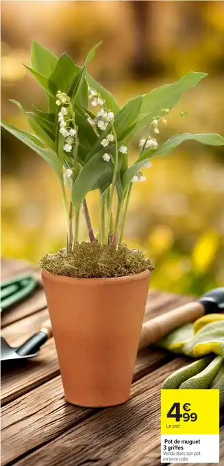 Carrefour Pot de muguet 3 griffes offre