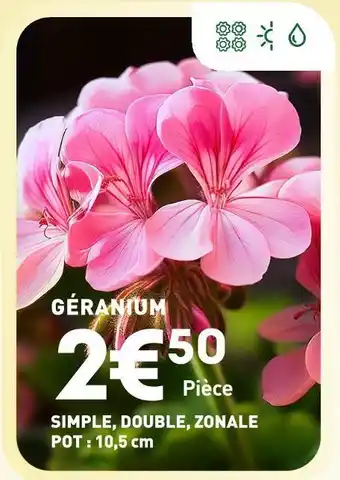 Ma Jardinerie Géranium offre