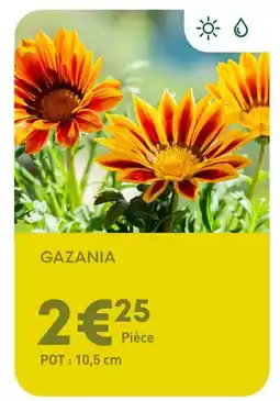 Ma Jardinerie Gazania offre
