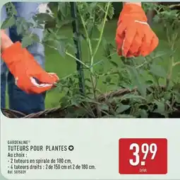 ALDI Tuteurs pour plantes offre
