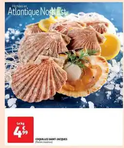 Auchan Coquilles Saint-Jacques offre