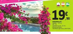E.Leclerc BOUGAINVILLIER offre