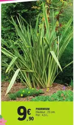 E.Leclerc PHORMIUM offre