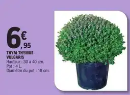 E.Leclerc THYM THYMUS VULGARIS offre